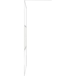 vidaXL Douchewanden zilver 90 x 195 cm Glas en Aluminium