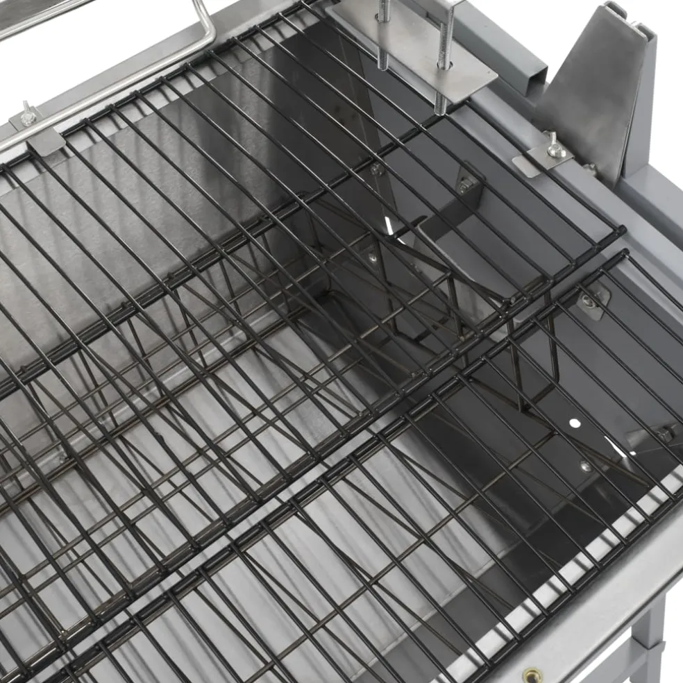 vidaXL Draaispit barbecue ijzer en roestvrij staal