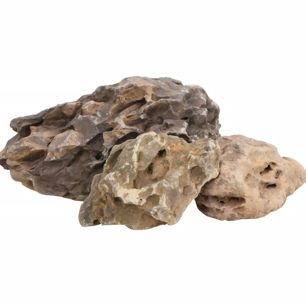 vidaXL Drakenstenen 10 kg 10-40 cm grijs