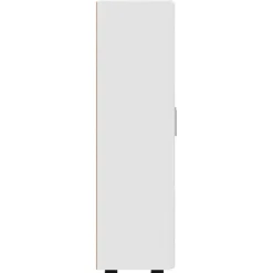 vidaXL Dressoir FLORIN 55,5 x 29 x 100 cm Wit Bewerkt hout