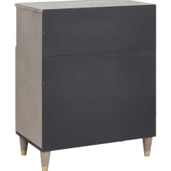 vidaXL Dressoir Grijs en Goud 60 x 33 x 75 cm Massief Mango Hout