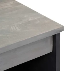 vidaXL Dressoir Grijs en Goud 60 x 33 x 75 cm Massief Mango Hout