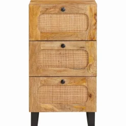 vidaXL Dressoir met lade Bruin 40 x 33 x 75 cm Massief Mango Hout