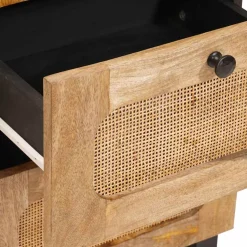 vidaXL Dressoir met lade Bruin 40 x 33 x 75 cm Massief Mango Hout