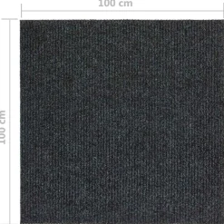 vidaXL Droogloopmat 100x100 cm antracietkleurig