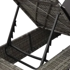 vidaXL Dubbele ligbed Grijs poly rattan