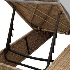 vidaXL Dubbele ligbed Grijs poly rattan