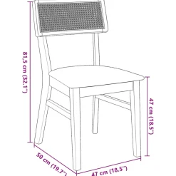 vidaXL Eetkamerstoelen met kussens 2 st massief hout rubber bruin
