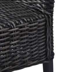 vidaXL Eetkamerstoelen 2 st kubu rattan en mahoniehout zwart