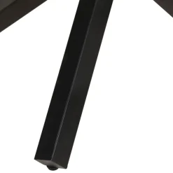 vidaXL Eettafel rond 100x100x75 cm ruw mangohout