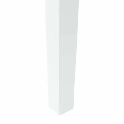 vidaXL Eettafelstoelen 2 st Massief Rubberhout Wit 50 x 52,5 x 91 cm