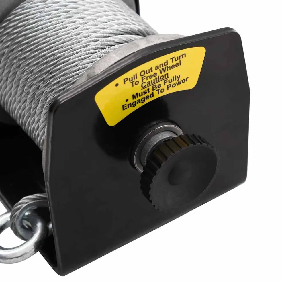 vidaXL Elektrische lier 12V 907 kg met afstandsbediening