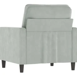 vidaXL Fauteuil 60 cm fluweel lichtgrijs