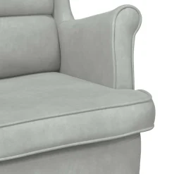 vidaXL Fauteuil fluweel lichtgrijs