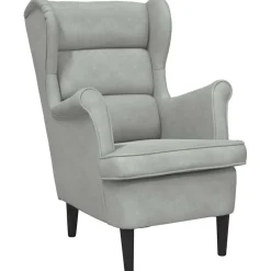 vidaXL Fauteuil fluweel lichtgrijs