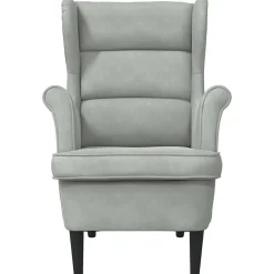 vidaXL Fauteuil fluweel lichtgrijs