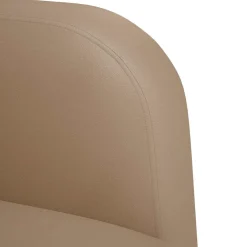 vidaXL Fauteuil met armleuningen Cappuccino 54 cm kunstleer