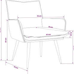 vidaXL Fauteuil Zwart fluweel