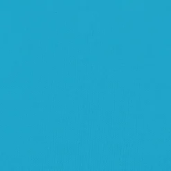 vidaXL Fietstrailer 30 kg ijzer zwart en blauw