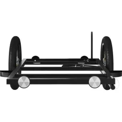 vidaXL Fietstrailer 122x53x28 cm ijzer zwart