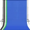 vidaXL Fotostudioset met achtergrond en softboxlamp