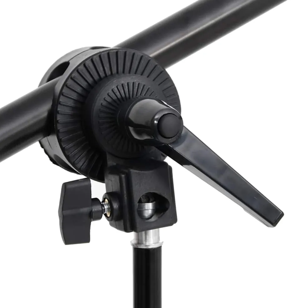 vidaXL Fotostudioset met verlichtingsset, achtergrond en reflector