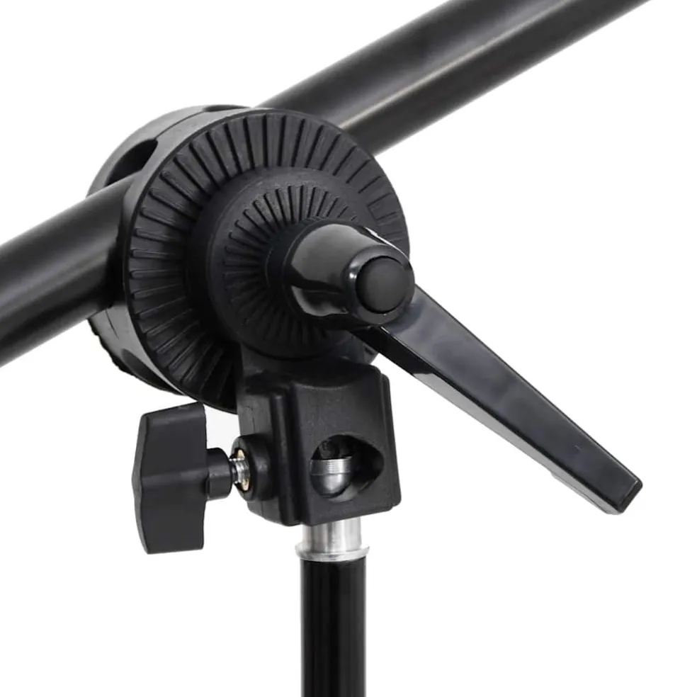vidaXL Fotostudioset met verlichtingsset en achtergrond