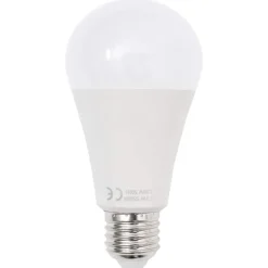 vidaXL Fotostudioset met verlichtingsset en achtergrond