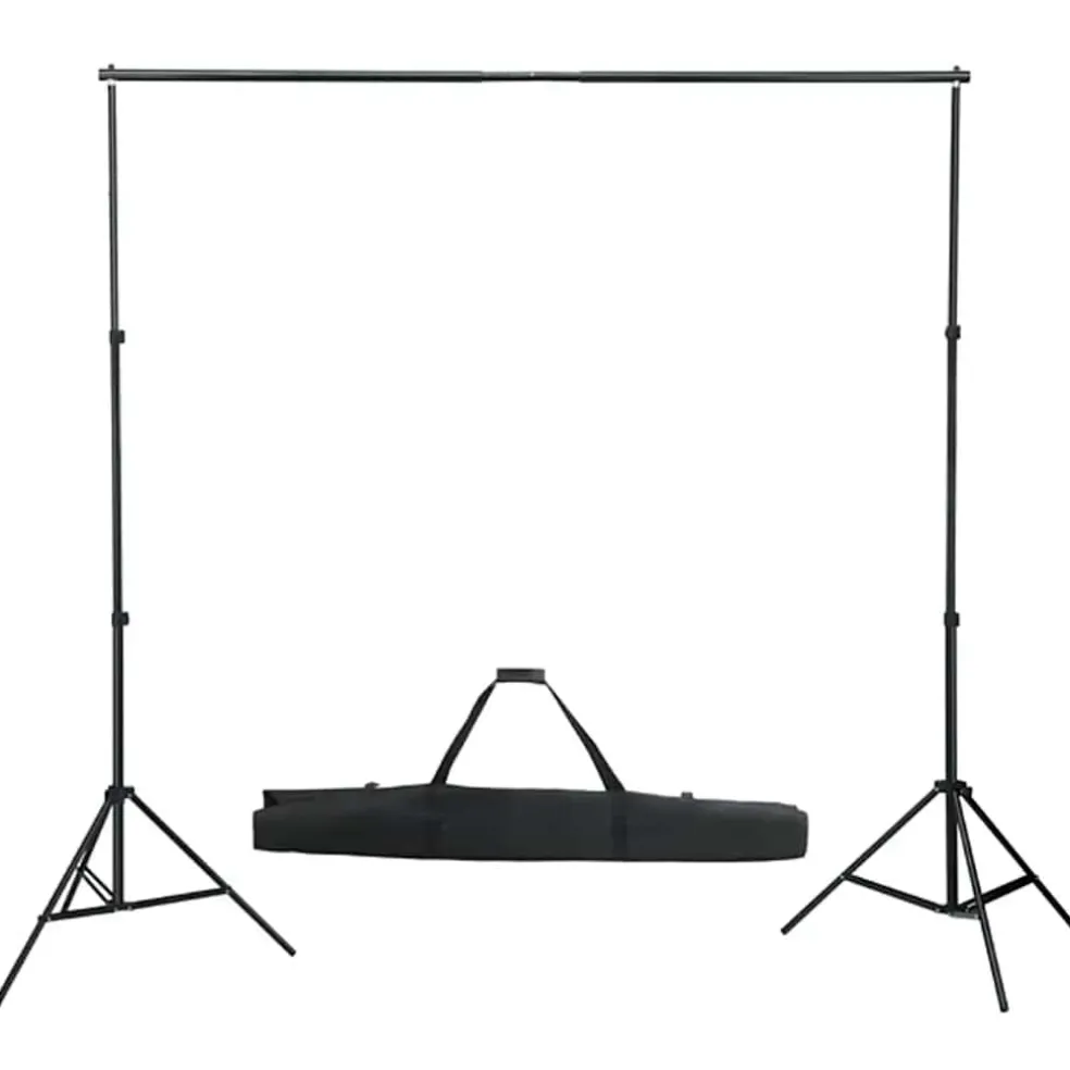 vidaXL Fotostudioset met verlichtingsset en achtergrond