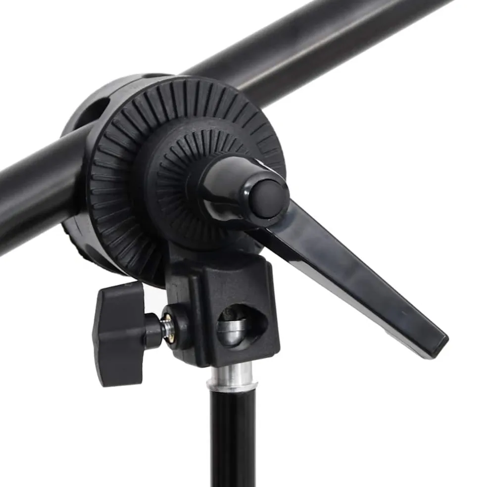 vidaXL Fotostudioset met verlichtingsset en achtergrond