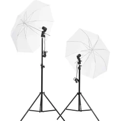 vidaXL Fotostudioset met verlichtingsset en achtergrond