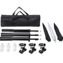 vidaXL Fotostudioset met verlichtingsset en achtergrond