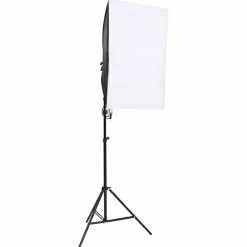 vidaXL Fotostudioverlichtingsset