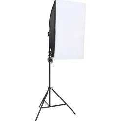 vidaXL Fotostudioverlichtingsset