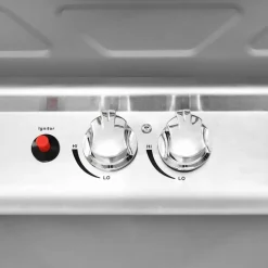 vidaXL Gasbarbecue en grill met 2 kookzones roestvrij staal zilver