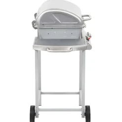 vidaXL Gasbarbecue en grill met 2 kookzones roestvrij staal zilver