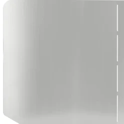 vidaXL Gazonrand 100 x 45 cm Staal Zilverkleurig