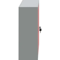 vidaXL Gereedschapskast met plank Rood en Grijs 100 x 20 x 55 cm Staal