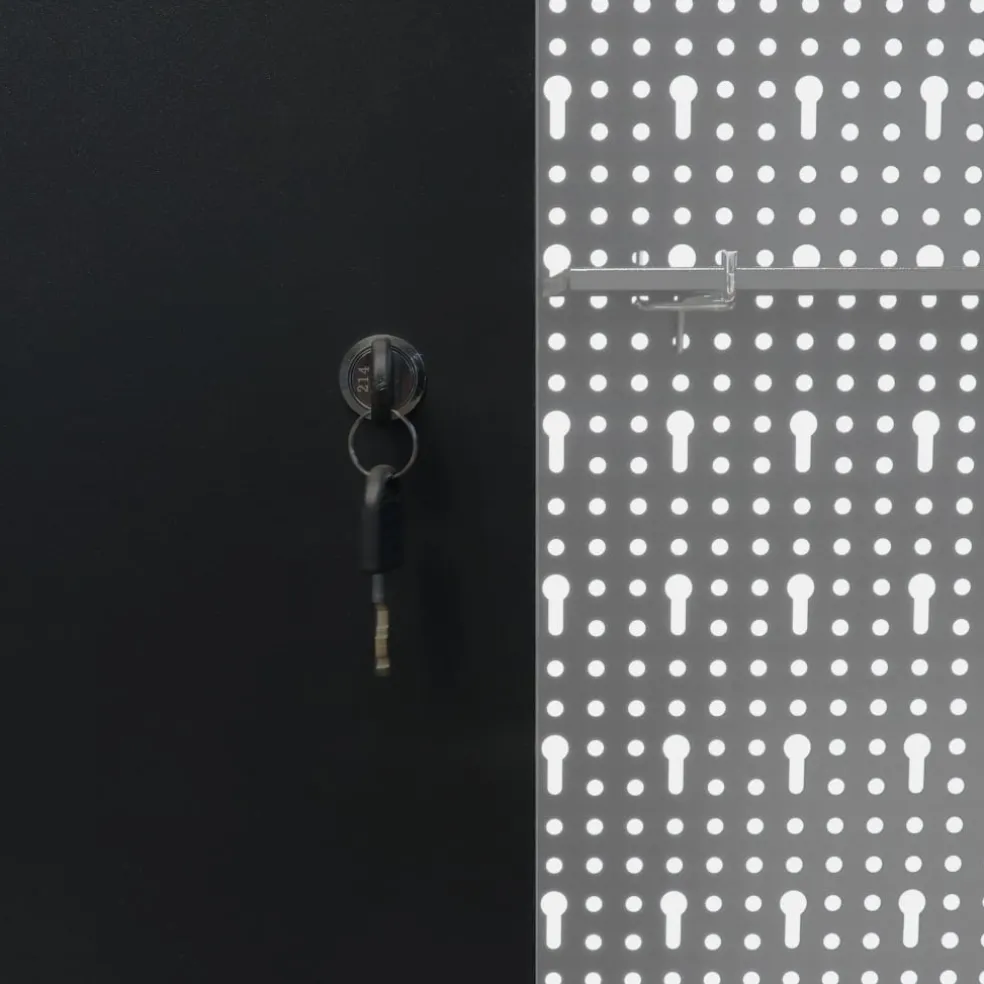 vidaXL Gereedschapskast voor aan de wand metaal grijs en zwart
