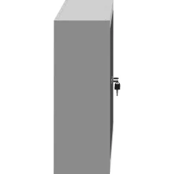 vidaXL Gereedschapskast Zwart en Grijs 100 x 20 x 55 cm Staal
