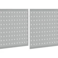 vidaXL Gereedschap Wandpaneel 2 st Grijs 100 x 1 x 60 cm Staal