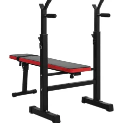 VidaXL Gewichtbank Zwart 126.5 x 67 x 111 cm Gepoedercoat staal
