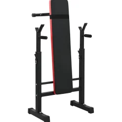 VidaXL Gewichtbank Zwart 126.5 x 67 x 111 cm Gepoedercoat staal