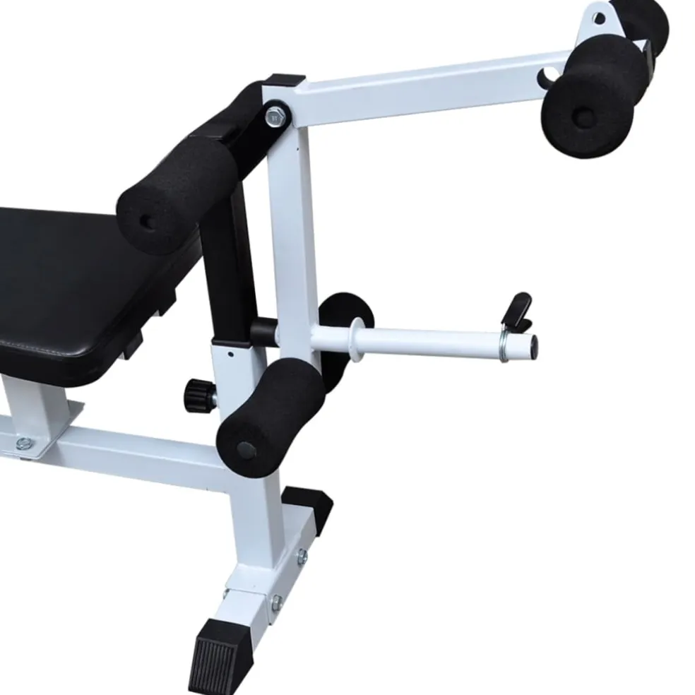 vidaXL Gewichtenbank met gewichtenrek en halterset 90 kg