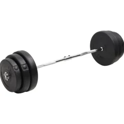 vidaXL Halter gebogen met gewichten 90 kg