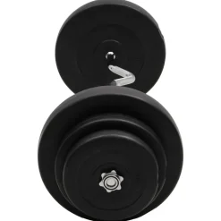 vidaXL Halter gebogen met gewichten 60 kg