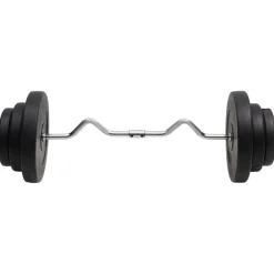 vidaXL Halter gebogen met gewichten 60 kg