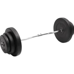 vidaXL Halter gebogen met gewichten 60 kg