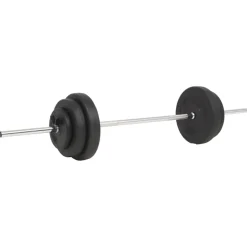 vidaXL Halter met gewichten 60 kg