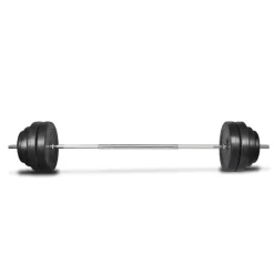 vidaXL Halter met gewichten 60 kg